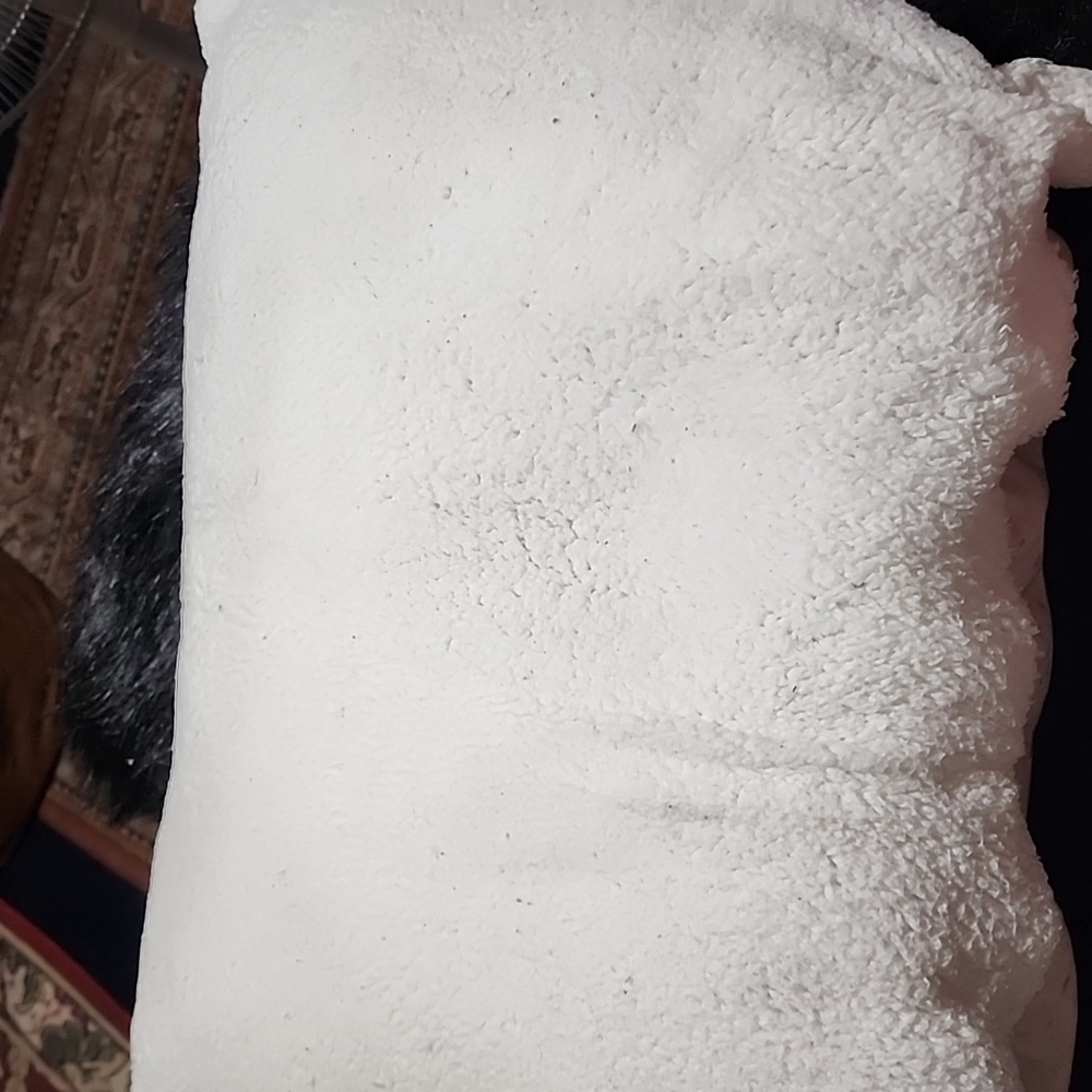 Horse Print Pillow . Designed With 3 - Running Horses. - Picture 5 of 6